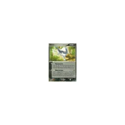 Absol