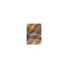 Agoyon & Schlingking-GX TAG TEAM rot 223/236 FULLART