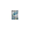 Altaria-EX 123/124 FULLART