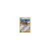 Amalia 64/70 REVERSE HOLO