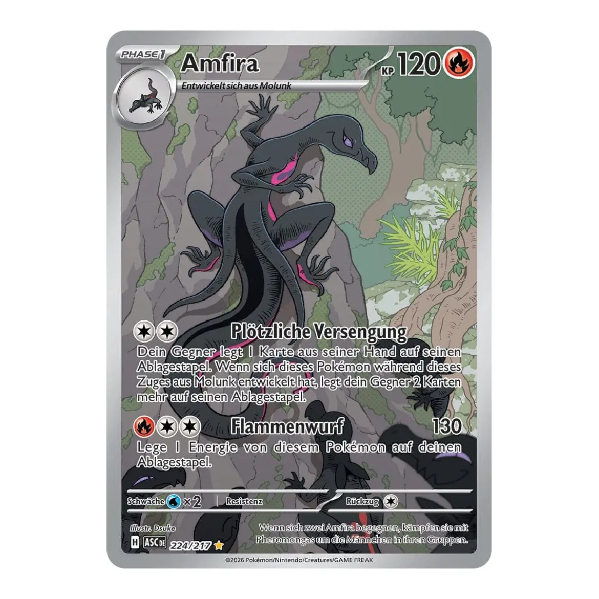 Amfira 224/217