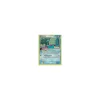 Amonitas REVERSE HOLO