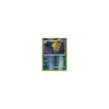 Amoroso Lv.55 23/99 Reverse Holo
