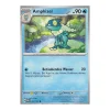 Amphizel 057/167