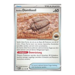 Antikes Domfossil 152/165