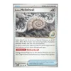 Antikes Helixfossil 153/165