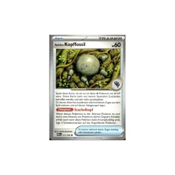 Antikes Kopffossil 073/084