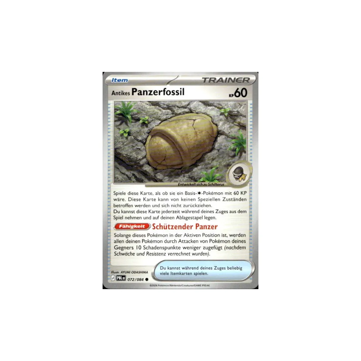 Antikes Panzerfossil 072/084