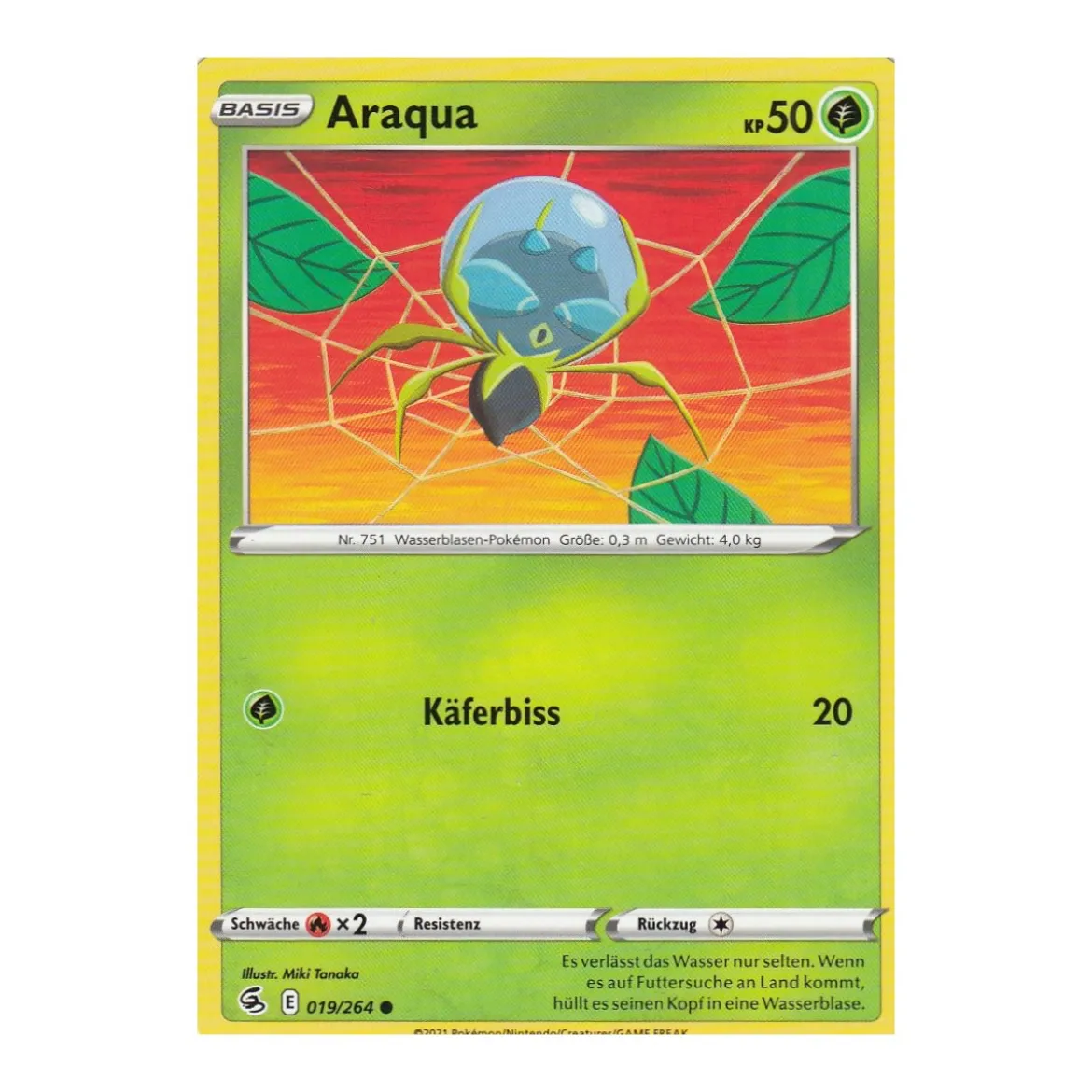 Araqua 019/264