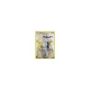Arceus XY83 HOLO