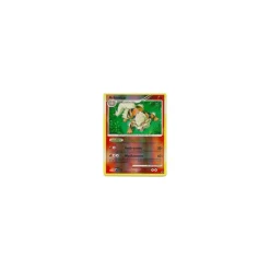 Arkani REVERSE HOLO