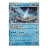 Arktos 144/165 Holo