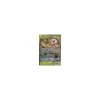 Bauz & Alola-Kokowei-GX TAG TEAM 001/236 HOLO