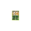 Bibor Lv.41 013/106 Reverse Holo