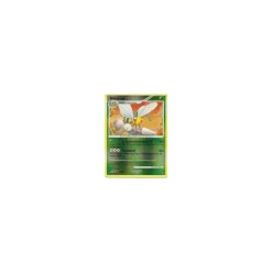 Bibor Lv.41 013/106 Reverse Holo