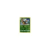 Bibor 4/073 REVERSE HOLO