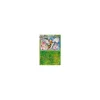 Bibor 005/146 REVERSE HOLO