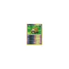Bidiza Lv.10 070/130 Reverse Holo