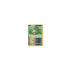 Bidiza REVERSE HOLO