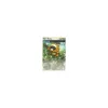 Bidiza 117/160 REVERSE HOLO