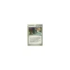 Bills Wartung REVERSE HOLO