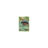 Bisaflor-EX 001/108 HOLO