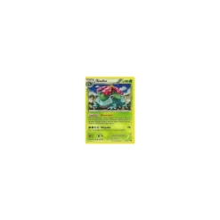 Bisaflor 003/108 HOLO