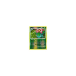 Bisaflor REVERSE HOLO