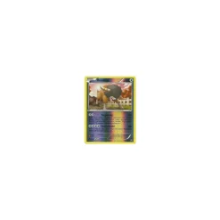 Bisofank 91/114 REVERSE HOLO