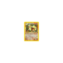 Blaine's Arcanine 001/132 Holo