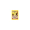 Blaine's Ninetales 021/132