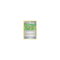 Blumenkrone RC26/RC32