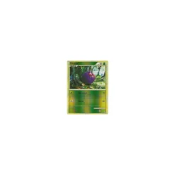Bluzuk REVERSE HOLO