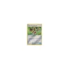 Bodybuilding-Hanteln 113/147 REVERSE HOLO