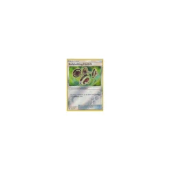 Bodybuilding-Hanteln 113/147 REVERSE HOLO