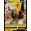Boltund V SWSH219 PROMO XXL OVERSIZED/ÜBERGROß Englisch