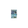 Branawarz-EX 020/111 HOLO