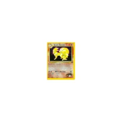 Brock's Ninetales 003/132 Holo