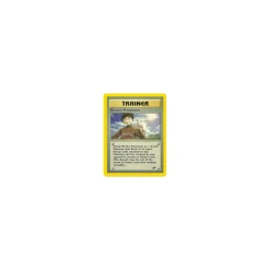 Brock's Protection 101/132 BESPIELT