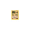 Brock's Vulpix 073/132