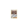 Bromley 115/147 REVERSE HOLO