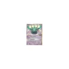 Bronzong 4