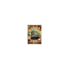 Bronzong 223/198