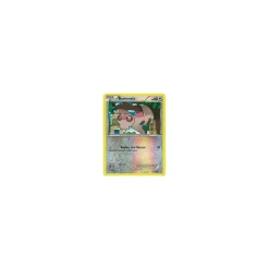 Bummelz 101/124 REVERSE HOLO