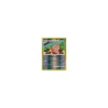 Burmadame Lumpenumhang Lv.44 51/99 Reverse Holo