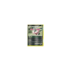 Burmadame Lumpenumhang REVERSE HOLO