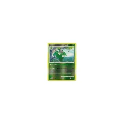 Burmadame Pflanzenumhang REVERSE HOLO