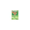 Burmy Lumpenumhang Lv.11 58/99