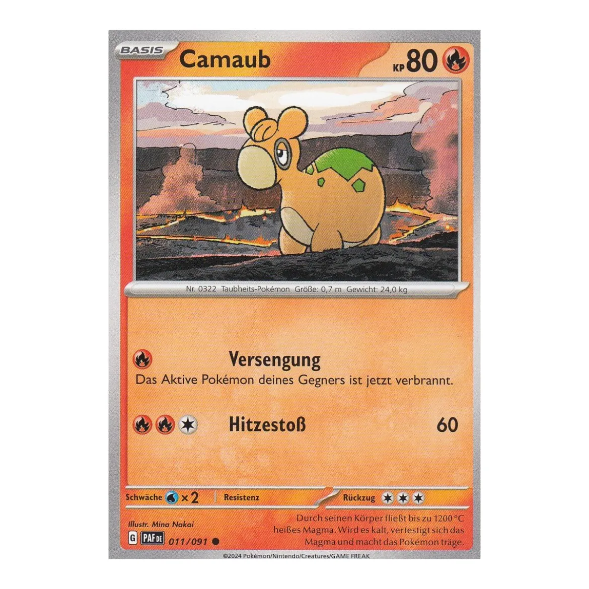 Camaub 011/091
