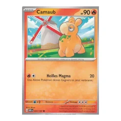 Camaub 031/197